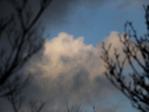 10Sky1 10Sky1