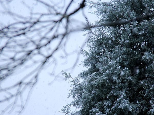 18Snow7 18Snow7