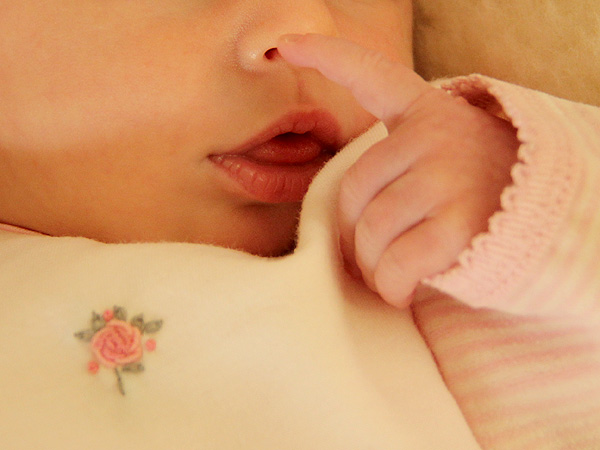Rosebud2 Rosebud2