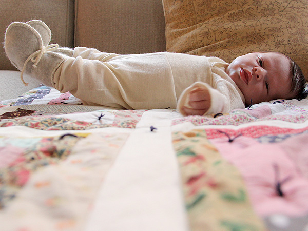 WoolBaby1 WoolBaby1