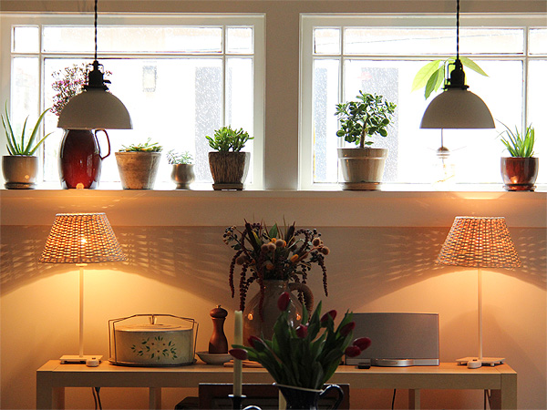 22Window1 22Window1