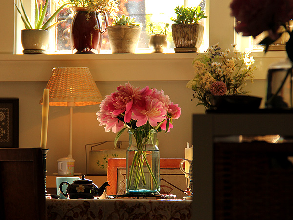 19Peonies1 19Peonies1