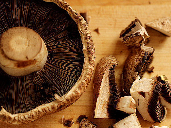 26Mushroom1 26Mushroom1