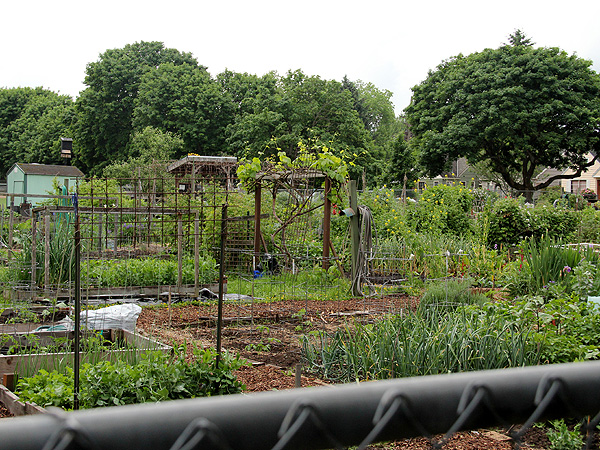 15CommunityGarden1 15CommunityGarden1