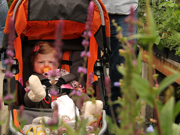 18Nursery1 18Nursery1