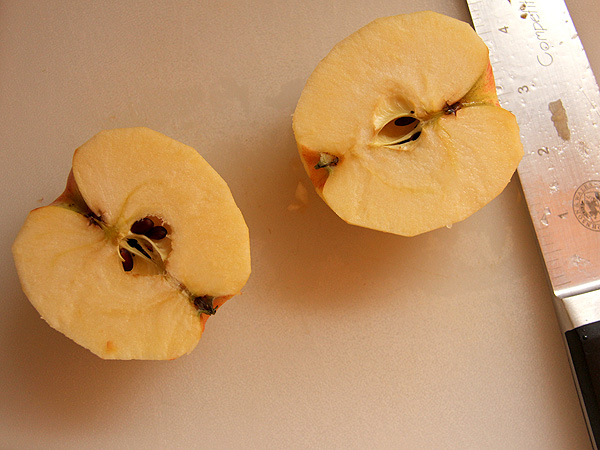 25Apple1 25Apple1