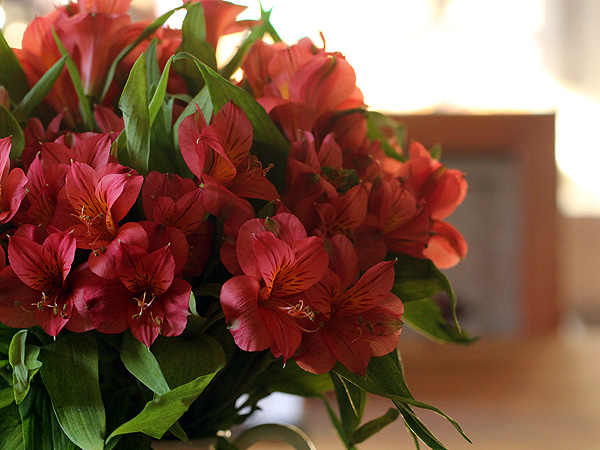 29Flowery1 29Flowery1