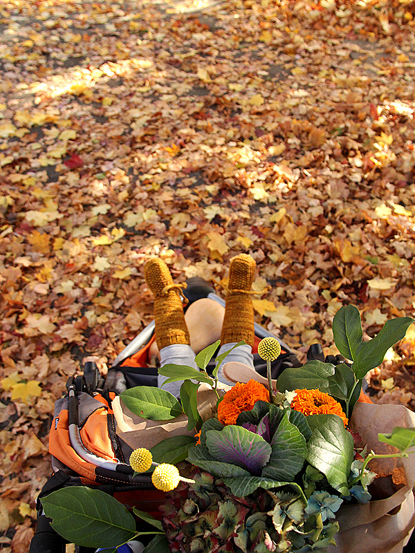 1BootsLikeLeaves1 1BootsLikeLeaves1