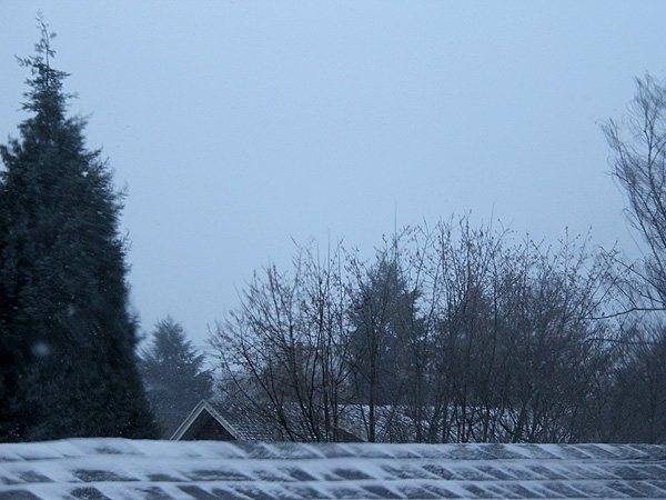 6Snow2 6Snow2