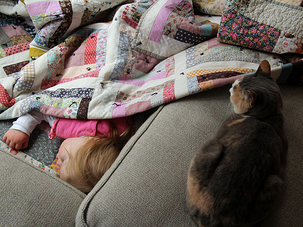 12Napper1 12Napper1