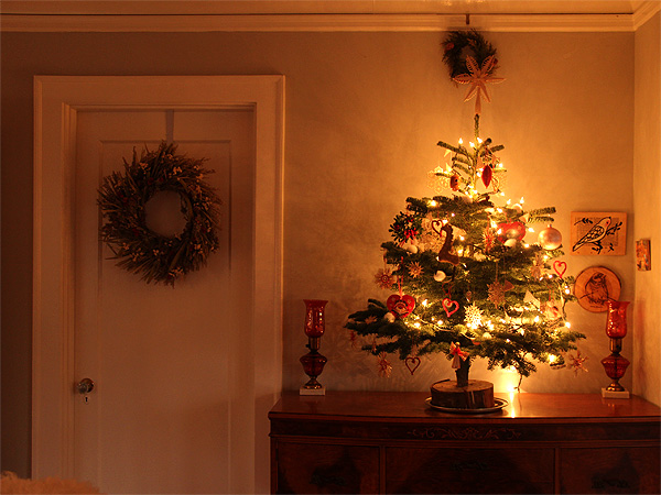 12TinyTree1 12TinyTree1