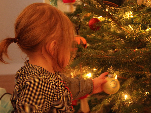 24Xmas2 24Xmas2