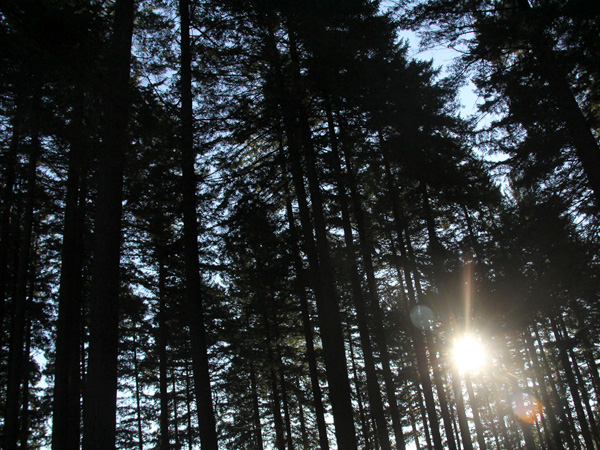 27Sun1 27Sun1