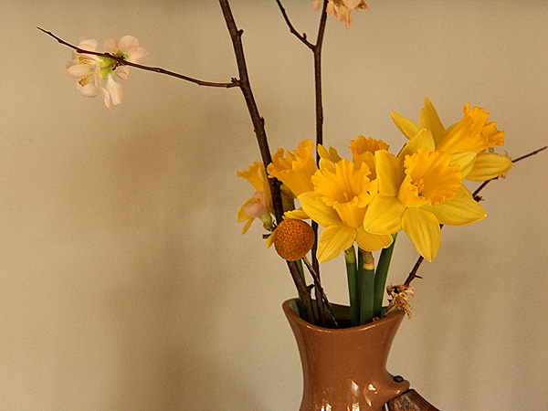 3Daffs1 3Daffs1