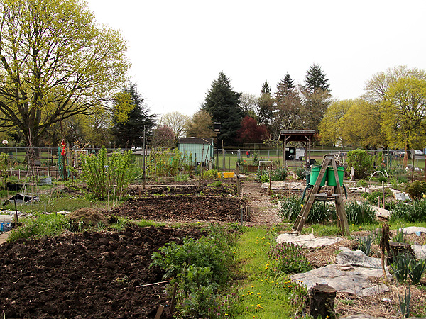 3Garden1