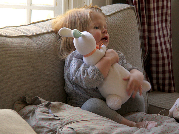 13PatTheBunny1 13PatTheBunny1