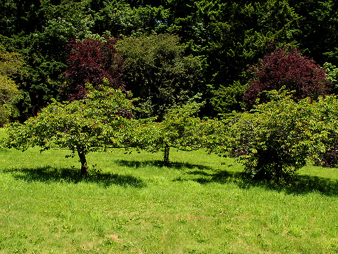 29Park1