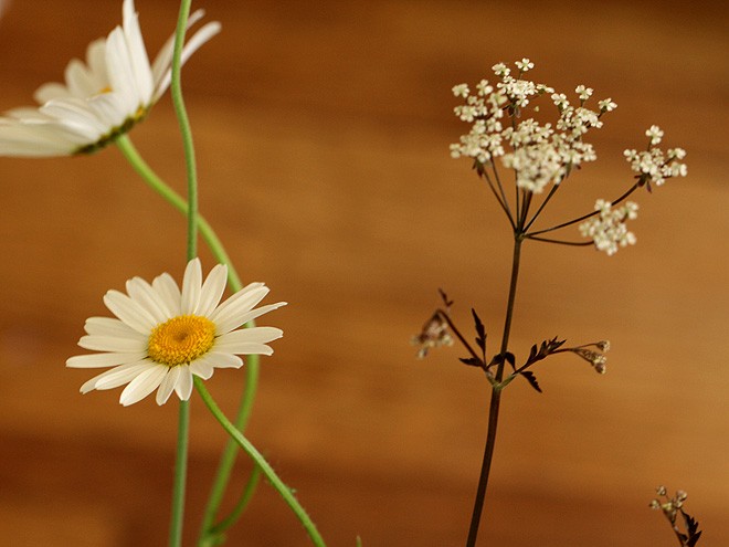 21Flowers2