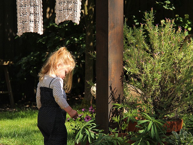 27Yard3 27Yard3