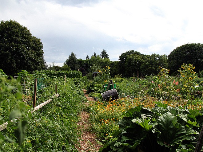 26Garden2 26Garden2