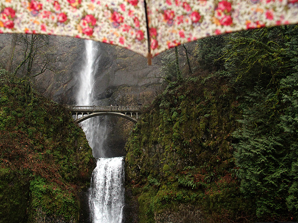 7Falls8 7Falls8
