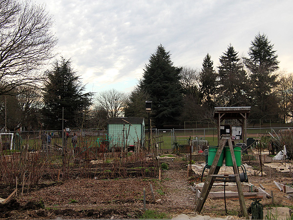 21Garden1 21Garden1