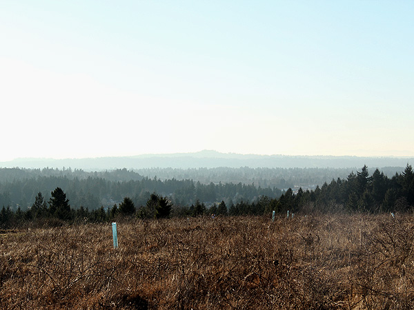 25Hike6 25Hike6