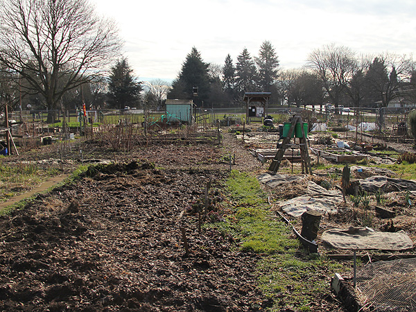 3Garden1 3Garden1