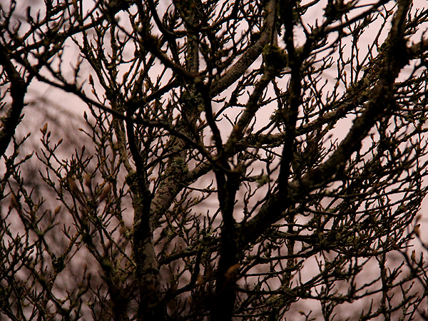 5Evening1 5Evening1
