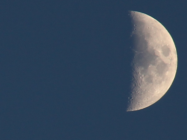 7Moon1 7Moon1
