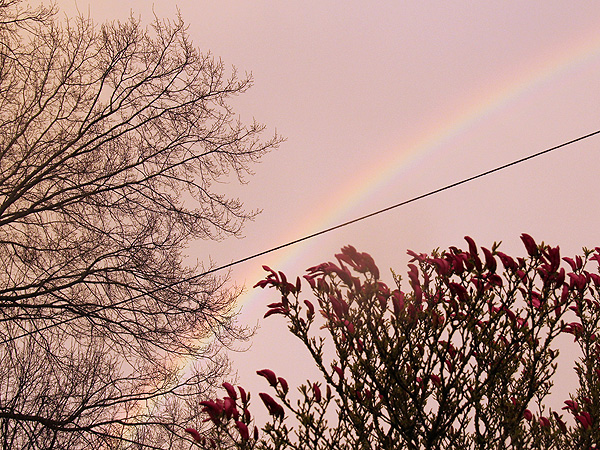 27Rainbow1 27Rainbow1