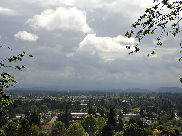 9View1