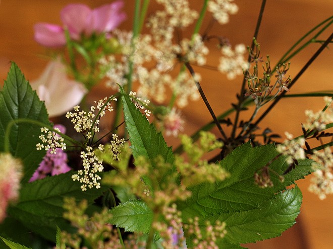 21Flowers1