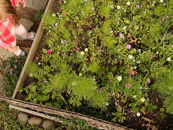 20Plants2