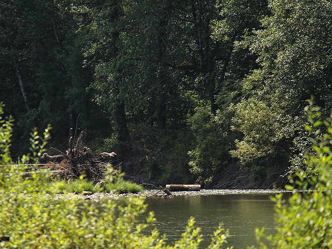 29River14 29River14