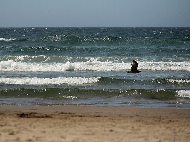 10Beach7 10Beach7