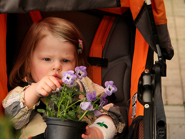 15Nursery1 15Nursery1