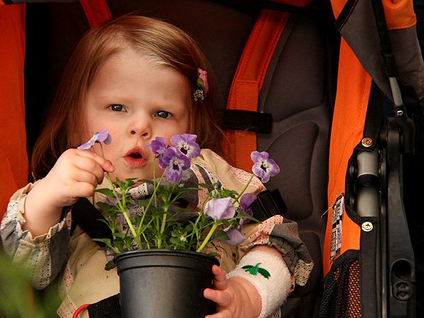 15Nursery2 15Nursery2