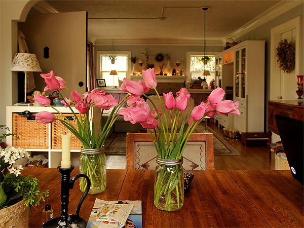 14Tulips1 14Tulips1