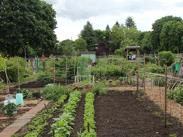 19Garden1 19Garden1