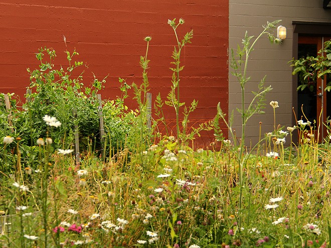 25Garden2 25Garden2