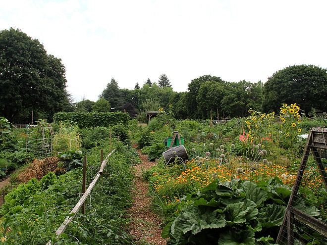 13Garden1 13Garden1