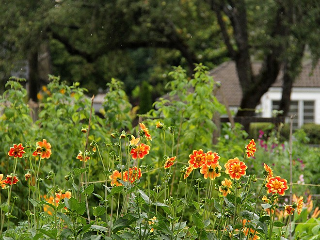 13Garden2 13Garden2