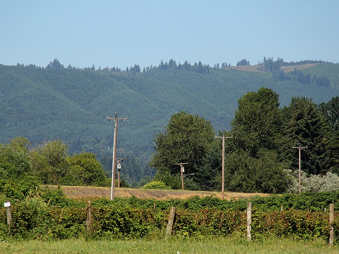 17Sauvie9 17Sauvie9