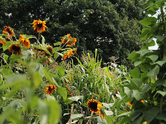 26Garden4 26Garden4