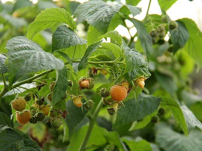 12Walk2 12Walk2