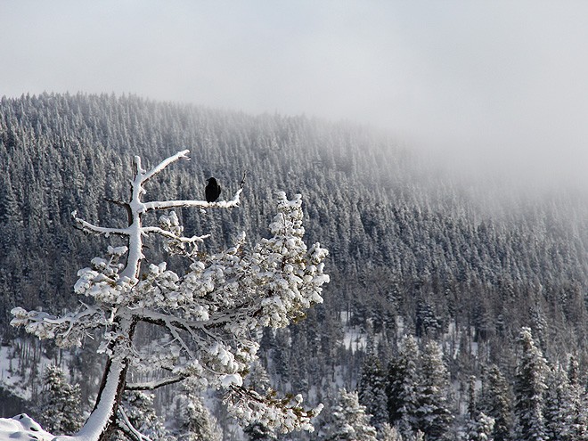 11Snow10