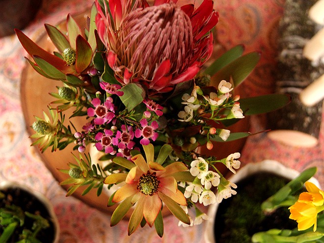 4Flowers2 4Flowers2