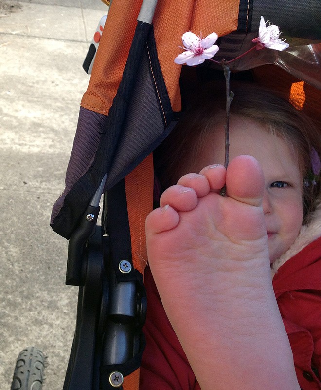 9FootFlower1 9FootFlower1