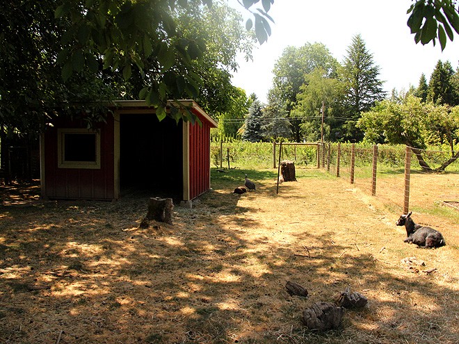 8BerryBarn17